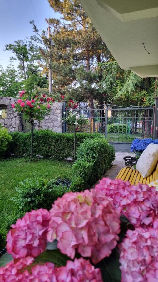 Apartman L&M Cetinje Ngoại thất bức ảnh