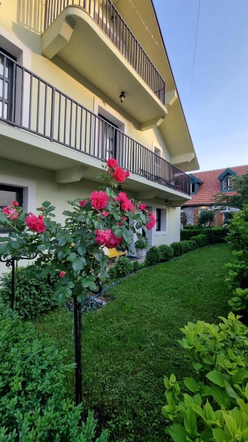 Apartman L&M Cetinje Ngoại thất bức ảnh